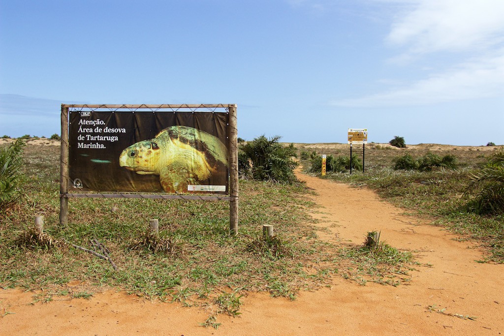 Placa sobre desova de tartarugas na Reserva Biológica de Comboios, no distrito de Regência (Linhares, ES). Foto: Herton Escobar/Estadão