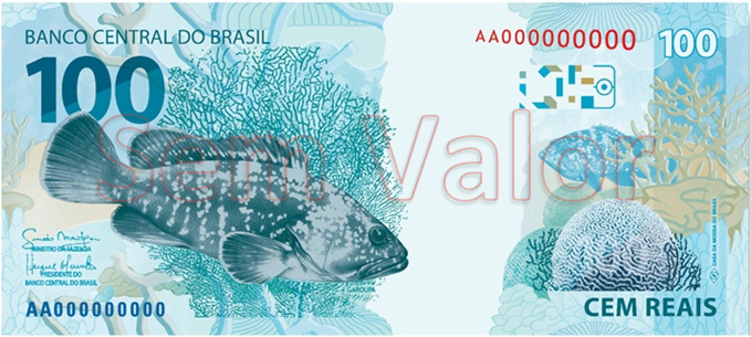 A garoupa é um dos símbolos da biodiversidade marinha brasileira, representada no verso das notas de R$ 100. Foto: Reprodução Wikipedia