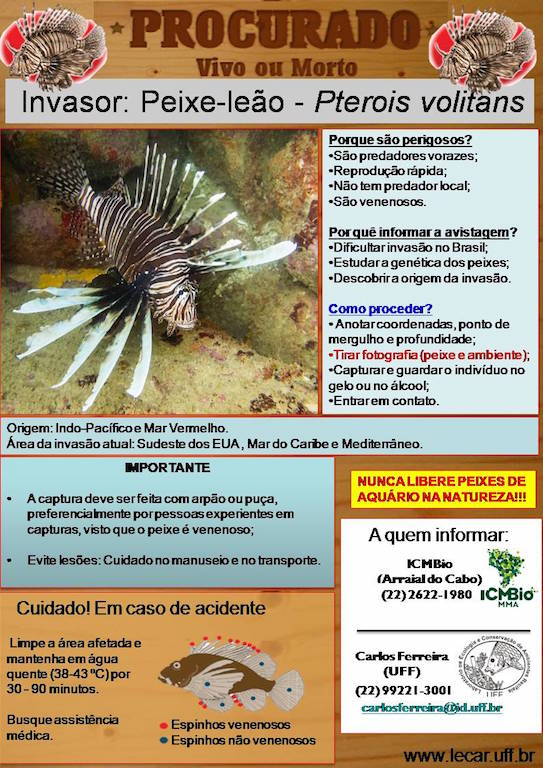 Poster criado pelos pesquisadores para orientar o registro e captura de peixes-leões.