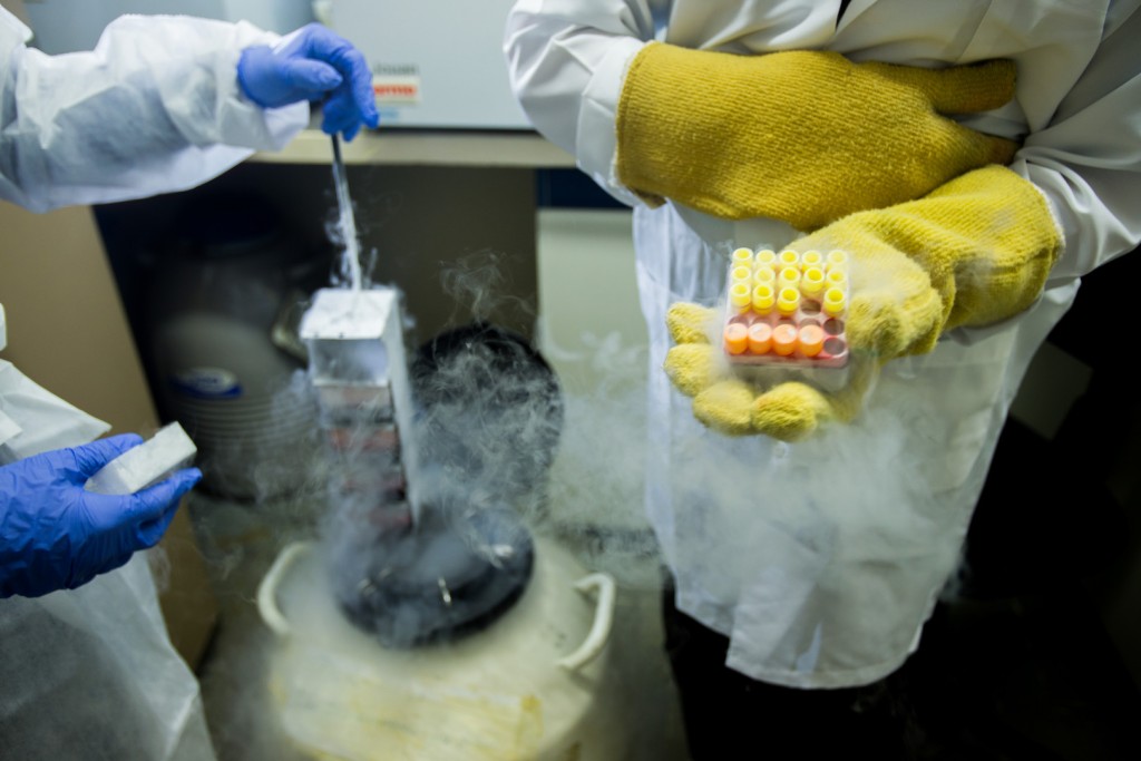 Tubos congelados em nitrogênio líquido, com amostra de tecidos e células tumorais. Foto: Tiago Queiroz/Estadão
